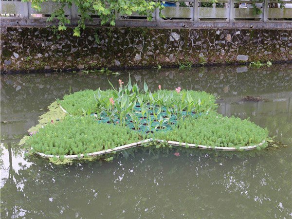 大荷花浮島