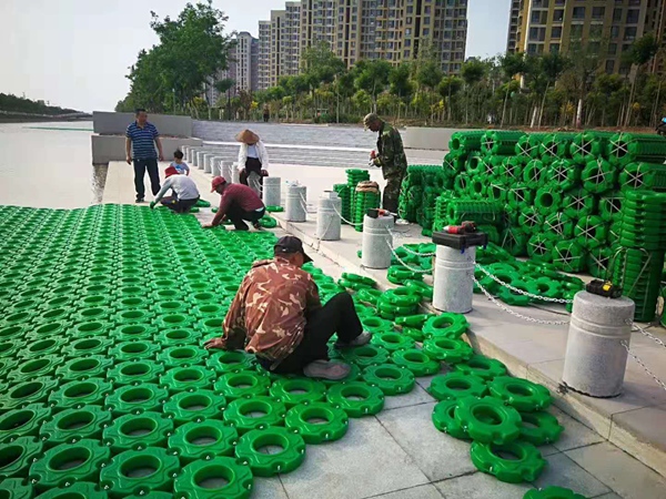 大荷花浮島